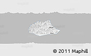 Gray Panoramic Map of Pujiang, single color outside