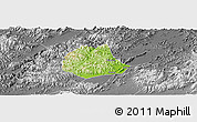 Physical Panoramic Map of Pujiang, desaturated