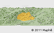 Savanna Style Panoramic Map of Pujiang