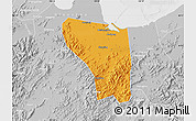 Political Map of Shaoxing Shi, lighten, desaturated