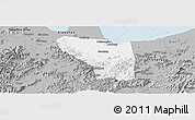 Gray Panoramic Map of Shaoxing Shi