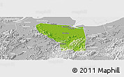 Physical Panoramic Map of Shaoxing Shi, lighten, desaturated