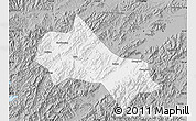 Gray Map of Tonglu