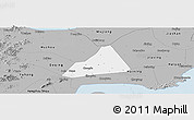 Gray Panoramic Map of Tongxiang