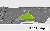 Physical Panoramic Map of Tongxiang, desaturated