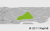 Physical Panoramic Map of Tongxiang, lighten, desaturated