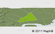 Physical Panoramic Map of Tongxiang, semi-desaturated