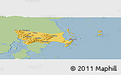 Savanna Style Panoramic Map of Wenling, single color outside