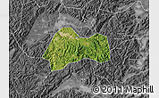 Satellite Map of Xinchang, desaturated