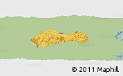 Savanna Style Panoramic Map of Xinchang, single color outside