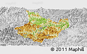 Physical Panoramic Map of Yunhe, lighten, desaturated