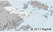 Gray 3D Map of Zhenhai