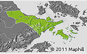 Physical 3D Map of Zhenhai, desaturated