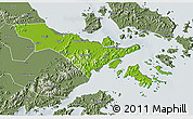 Physical 3D Map of Zhenhai, semi-desaturated