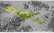 Satellite 3D Map of Zhenhai, desaturated