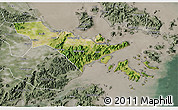 Satellite 3D Map of Zhenhai, semi-desaturated