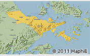 Savanna Style 3D Map of Zhenhai