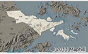 Shaded Relief 3D Map of Zhenhai, darken