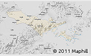 Shaded Relief 3D Map of Zhenhai, desaturated