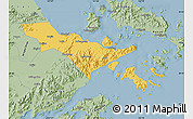 Savanna Style Map of Zhenhai