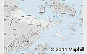 Silver Style Map of Zhenhai