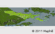 Physical Panoramic Map of Zhenhai, darken
