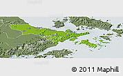 Physical Panoramic Map of Zhenhai, semi-desaturated