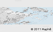 Silver Style Panoramic Map of Zhenhai