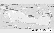 Silver Style 3D Map of La Pedrera