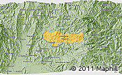 Savanna Style 3D Map of Manizales