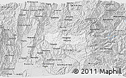 Silver Style 3D Map of Manizales