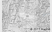 Silver Style Map of Manizales