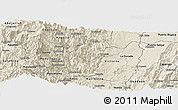 Shaded Relief Panoramic Map of Samana