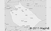 Silver Style Map of Mani