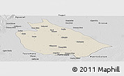 Shaded Relief Panoramic Map of Mani, desaturated