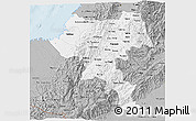 Gray 3D Map of Cauca