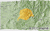 Savanna Style 3D Map of Inza