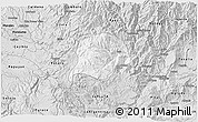 Silver Style 3D Map of Inza