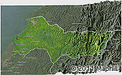 Satellite 3D Map of Lopez de Micay, semi-desaturated