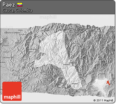 Gray 3D Map of Paez