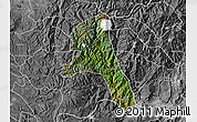 Satellite Map of Paez, desaturated