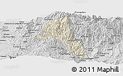 Shaded Relief Panoramic Map of Paez, desaturated