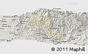 Shaded Relief Panoramic Map of Paez, semi-desaturated