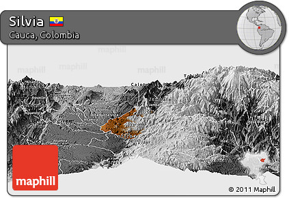 Physical Panoramic Map of Silvia, desaturated