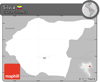 Gray Simple Map of Silvia