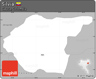 Gray Simple Map of Silvia