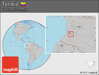 Gray Location Map of Toribio
