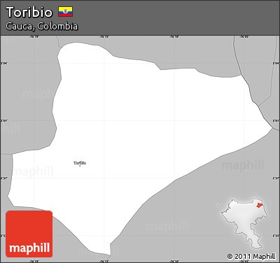 Gray Simple Map of Toribio
