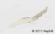 Shaded Relief Panoramic Map of Agustin Codazzi, cropped outside