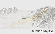 Shaded Relief Panoramic Map of Agustin Codazzi, lighten, semi-desaturated